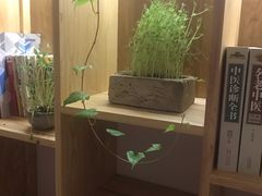 -璞禅足道(观音桥旗舰店)