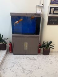 -海涛医疗美容·面部抗衰·注射美鼻