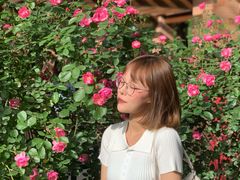 -西安市长乐公园