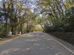 -南京市江宁方山