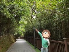 -福建泉州仙公山风景名胜区