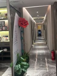 -香榭丽舍·海菲秀·皮肤管理痘敏肌修护