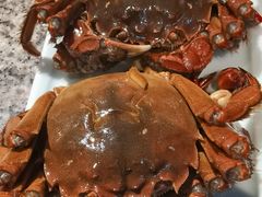 -南京大牌档(富力海珠城店)