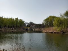 -大兴滨河森林公园