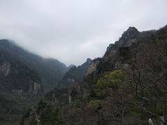 -牛背梁国家森林公园