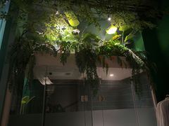 -泰乐道·SPA·按摩·足道(坡子街店)