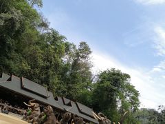 -野象谷景区