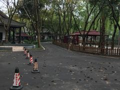 -巴山一绝烤全羊(三圣乡刘家花园店)