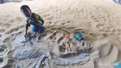 -恐龙探索乐园(磁器口店)