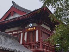 -莲西餐(曲江店)