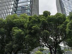 -苏州香格里拉大酒店