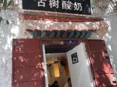 门面-古树酸奶(八廓南街店)