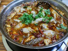-重庆豆花鱼(福洲大道店)