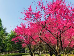 -白塘生态植物园