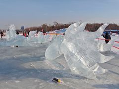 -长春市南湖公园