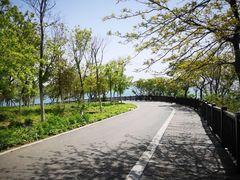 -傅家庄公园