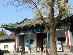 -迎泽公园