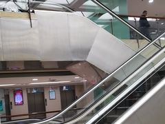 -上海市普陀区中心医院
