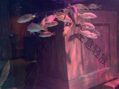 -沈阳海洋探索中心