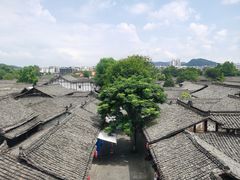 -中天楼