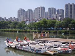 -光明港公园