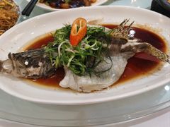 清蒸桂花鱼-东江渔村·古典园林·30年粤菜老字号(太和店)