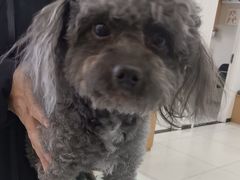 -美联众合动物医院·24h京西诊疗中心