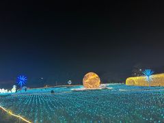 -海上田园