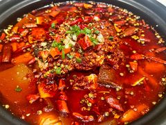 -大鸭梨烤鸭(顺义石园店)