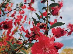 -桃花涧