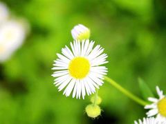 -东天目山风景区