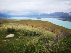 -约翰山