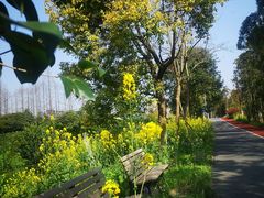 -上海长兴岛郊野公园