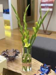 -ROYEA茹彦祛痘·问题肌肤修护中心