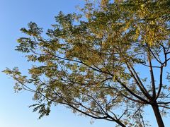 -汉长安城未央宫国家考古遗址公园