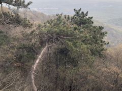-紫金山索道-售票处