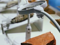 -游心咖啡(青山红坊店)