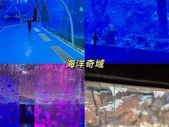 -波塞冬海底世界