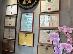 -温鉴良实用咏春拳