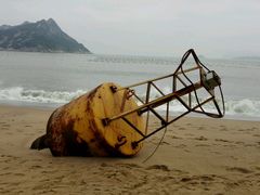 -大京沙滩