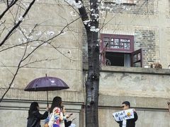 -武汉大学-樱园