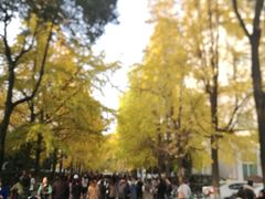 -星巴克(成都龙湖三千集店)