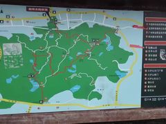 -火炉山森林公园