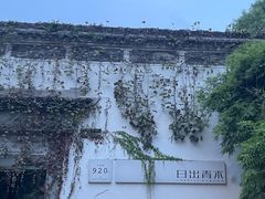 -日出青木