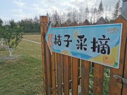 点击看大图 -前小桔亲子创意农场·草莓采摘·露营烧烤
