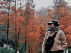 -重庆彩云湖湿地公园