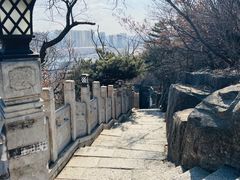 -高尔山公园