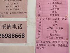 -万源龙顺度假庄园生态观光园