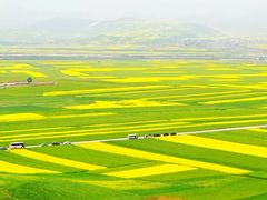 -中国移动通信集团上海有限公司