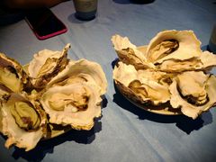 -千岛蚝高压锅生蚝·人参火锅(白云万达店)